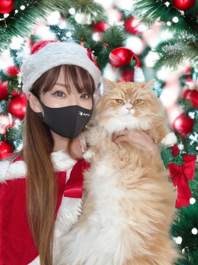 𝐒ちゃん🌸猫Photo Rider (@Kuroneko_S_chan) / Posts / X