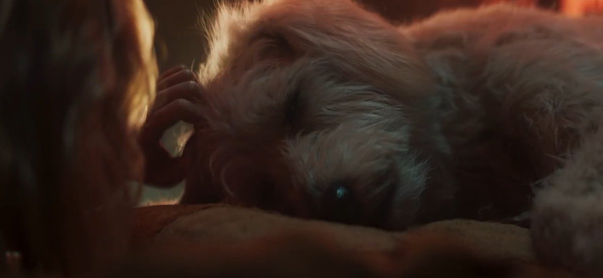 Milly Alcock as Supergirl with Krypto in ‘SUPERGIRL’