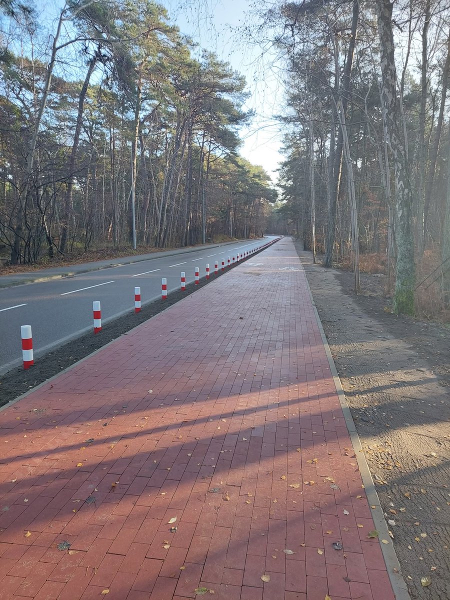 dominobb tweet media