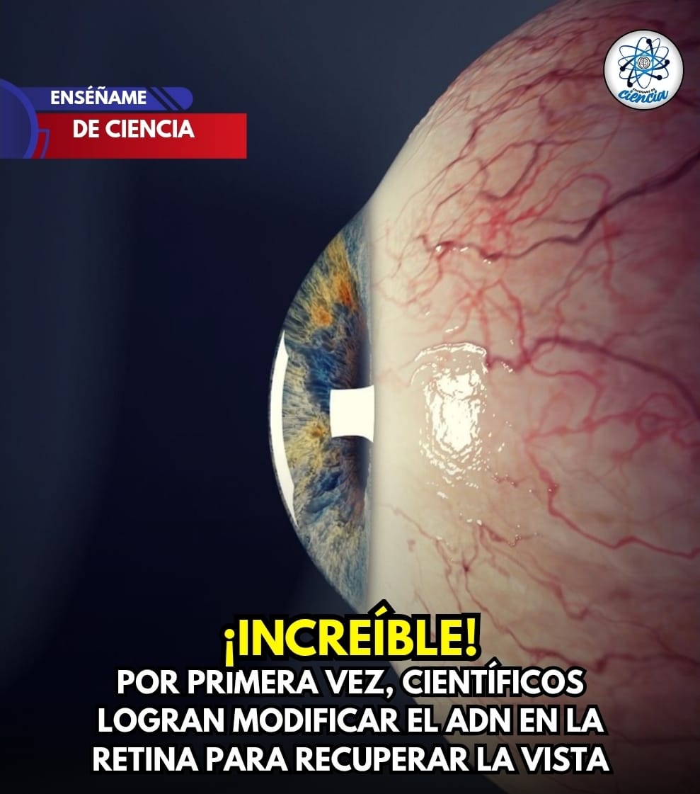 Enséñame de Ciencia tweet media