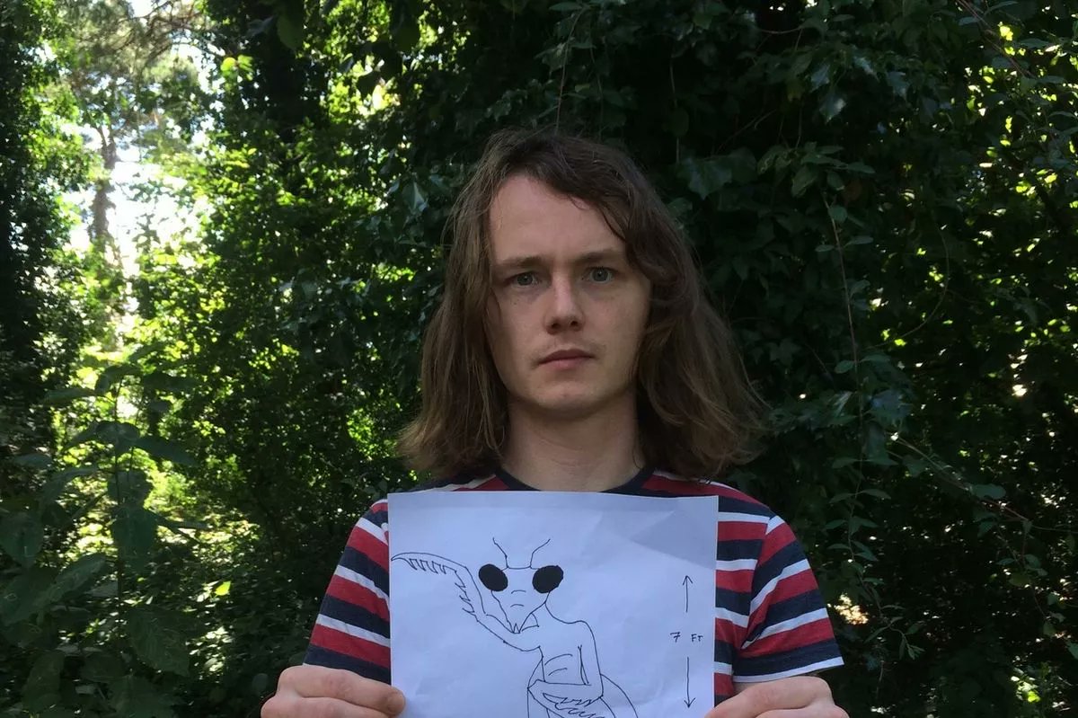 UFO mania tweet media