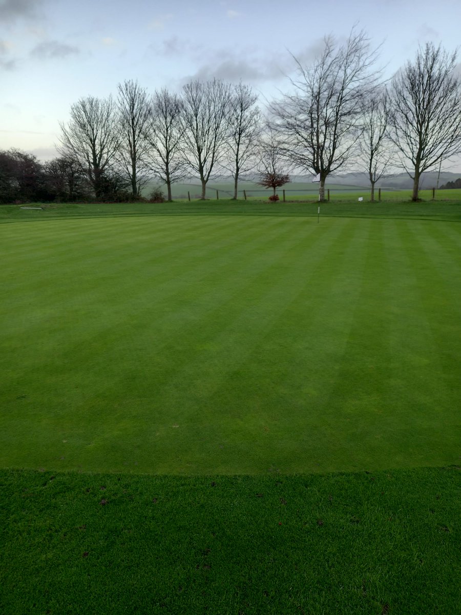 THE ASHLEY WOOD GOLF CLUB tweet media