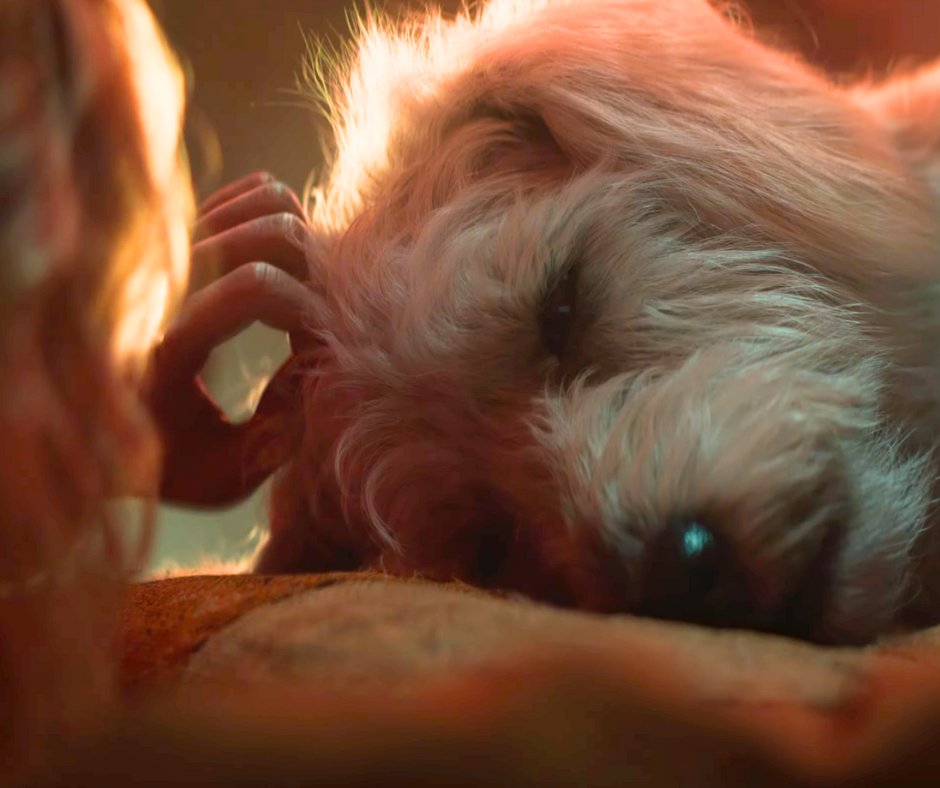 The first #Supergirl teaser trailer has arrived.

Read the full breakdown here: variety.com/2025/film/news…