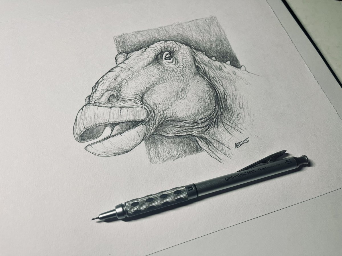 Edmond says “hi”.