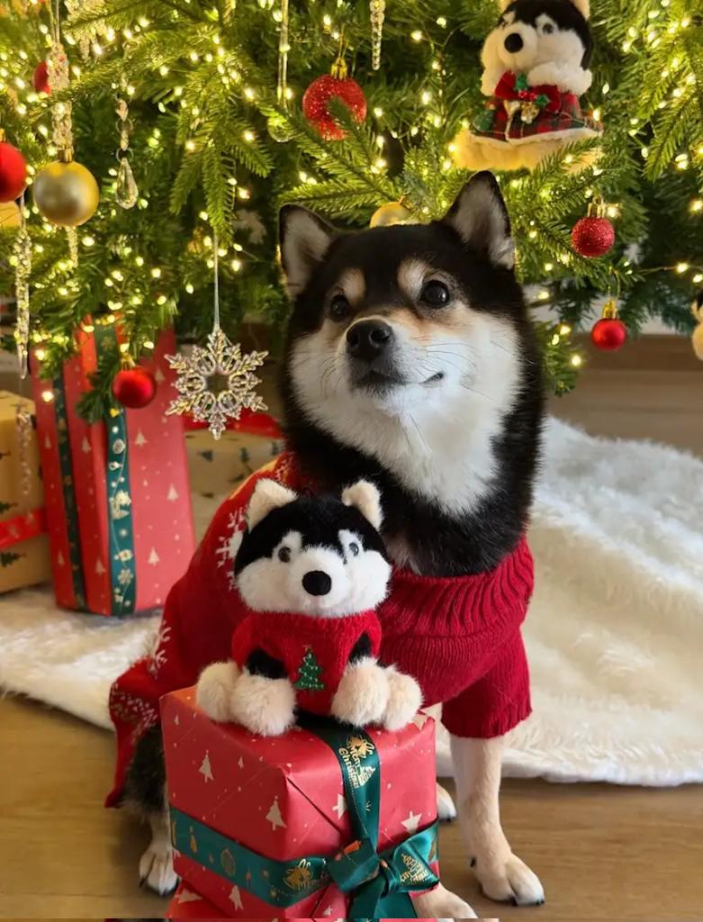 Manyu.Fun tweet media