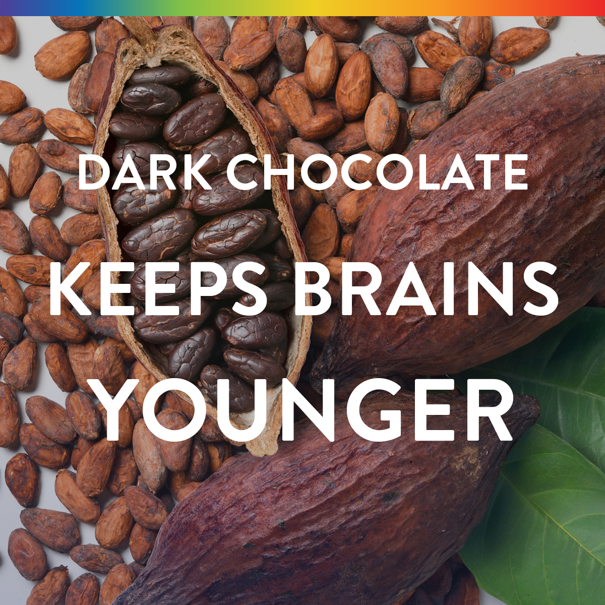 Dark chocolate packs massive anti-aging benefits, including an overall lower risk of all-cause mortality thanks to its combo of PQQ, vitamin K2, and polyphenols. See more of cacao’s longevity benefits in this excerpt from Paleo for Life.

thepaleodiet.com/chocolate-for-…

#HealthyAging