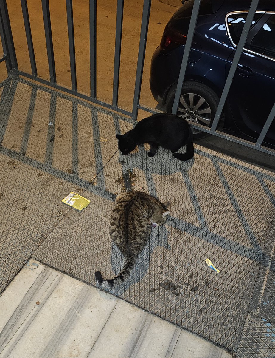 İyi hoş etmişsin 
Ambalajı 10 adım gidip çöpe atsaydın 🤔