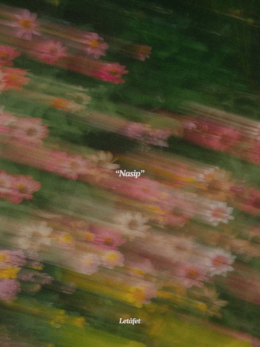 Letâfet (@letafetx) on Twitter photo 