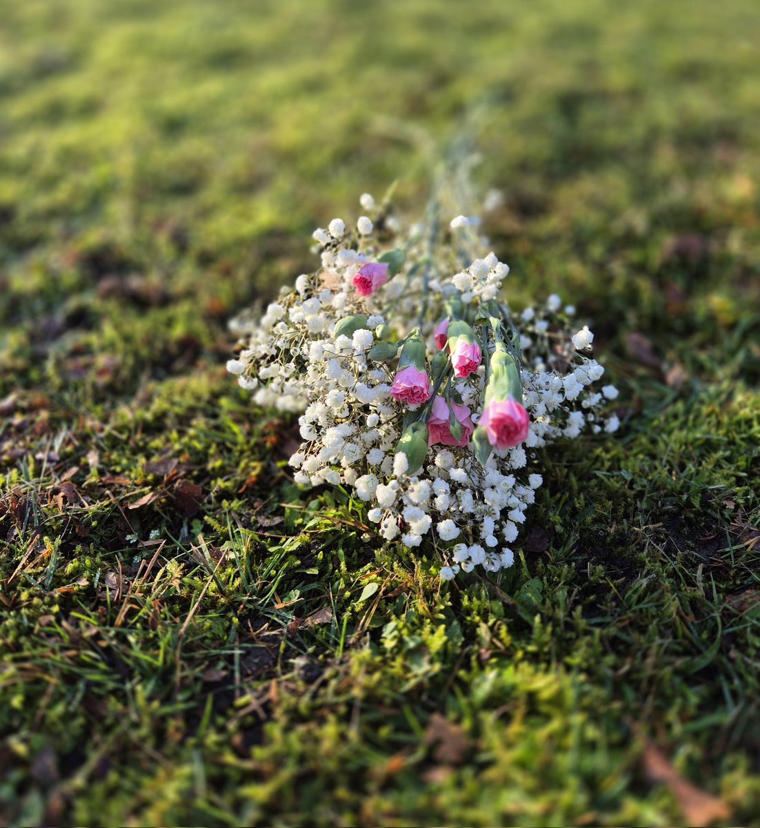 missfortytwo's tweet image. Went to see my Mum and my Nan today, took flowers and sat on their bench. 

Was a beautiful day to go, was Mum's birthday yesterday, the sun was shining and there were squirrels ... 

#mum #church #Christmas xx