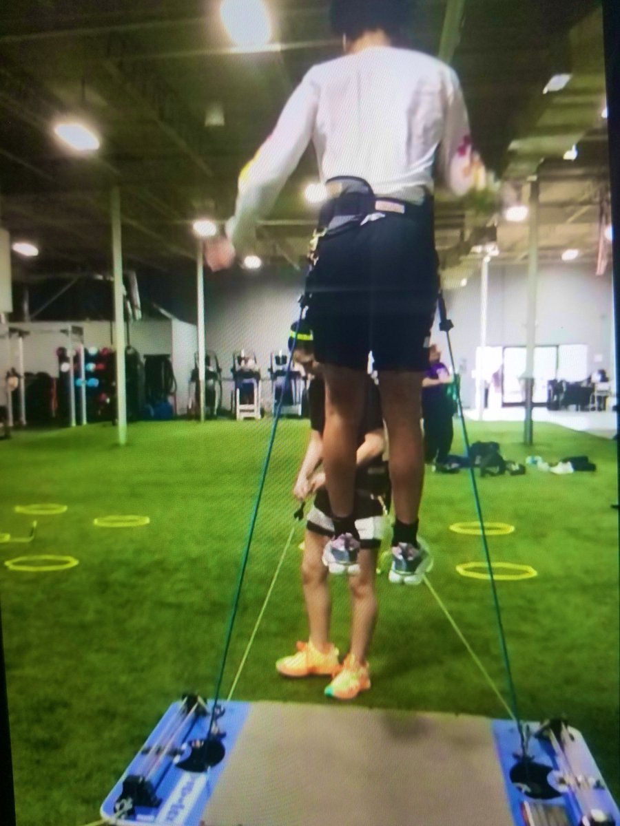 Perry Shields tweet media