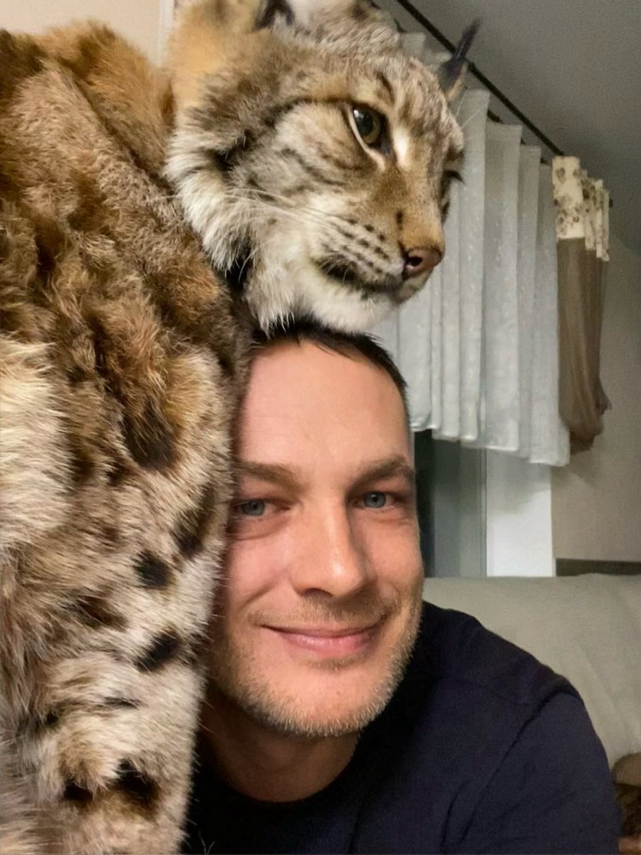 Илья Смолин tweet media