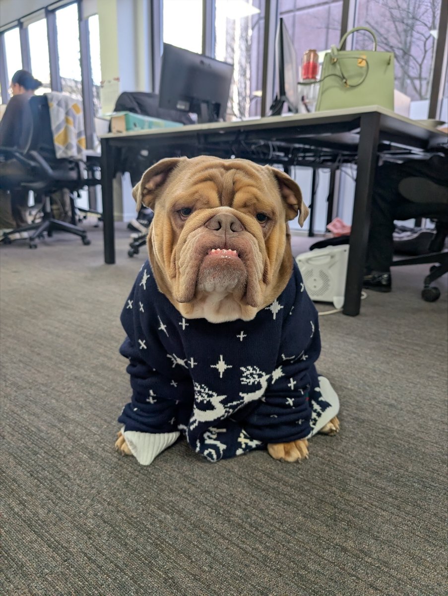 Monarch Education tweet media