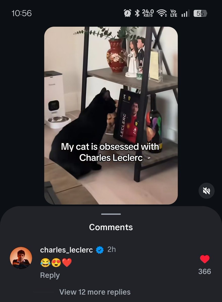 wdclebbl's tweet image. CHARLES COMMENTED ON THE VIDEO OF THE CAT THAT'S OBSESSED WITH HIM !!! 😭😭😭😭