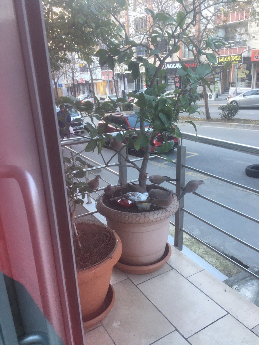 🔴 Cumamız mübarek olsun               🌼🤲🌼