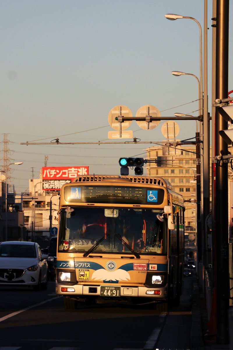 うめばやし tweet media