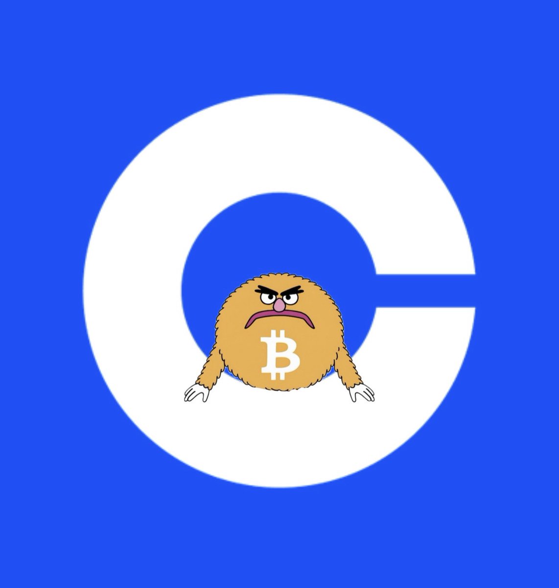 BITTY ON BRC20 tweet media