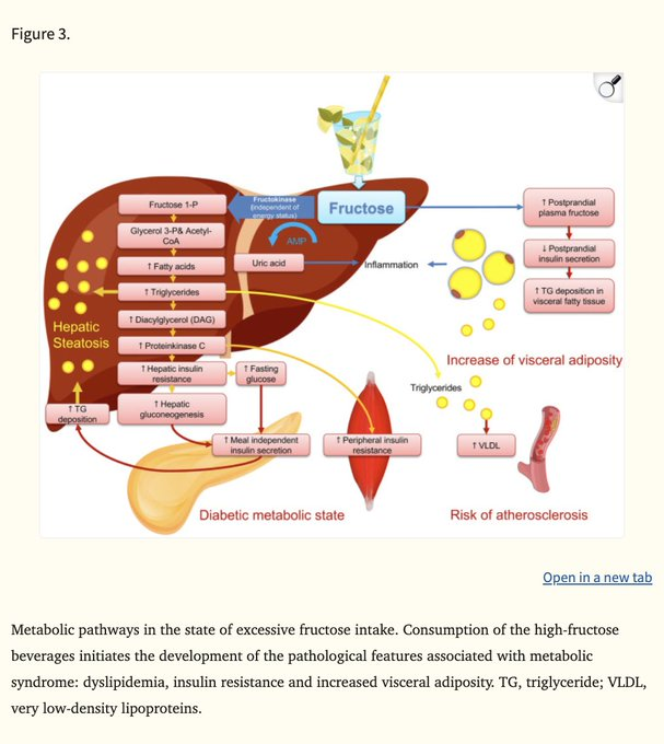 Passo 2: Elimine a frutose.
A frutose aumenta diretamente os triglicerídeos. A pesquisa é conclusiva.
Comece por eli