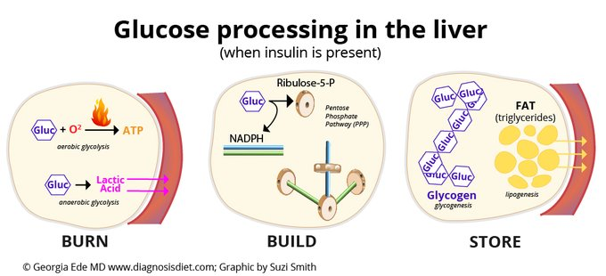 Passo 1: Reduza o consumo total de carboidratos.
Para muitas pessoas, simplesmente eliminar os carboidratos processado