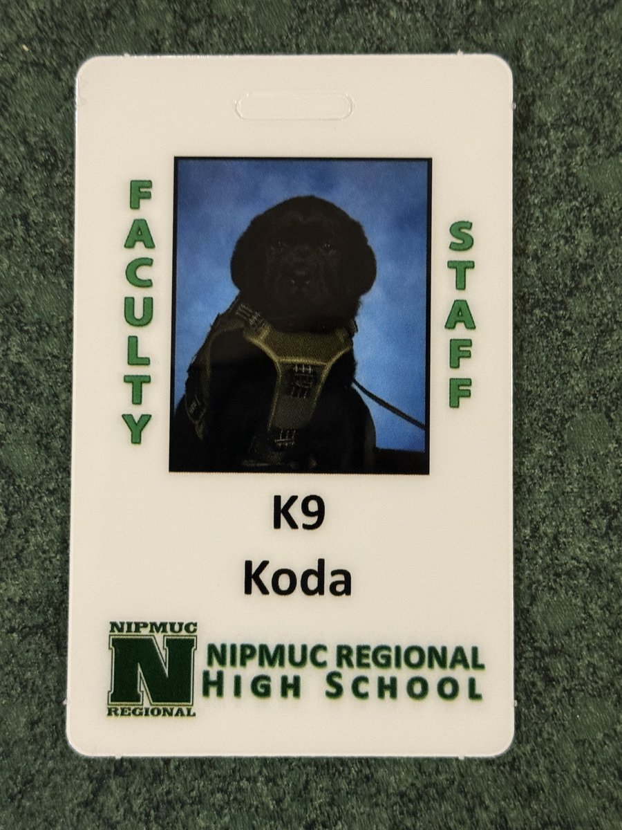 NipmucRegional's tweet photo. Koda is an "official" member of the Nipmuc staff now that his ID has arrived.  How lucky are we to get to watch how fast he is growing and how much he is loved throughout the community!  Today we got to see his new chair trick of sitting and then figuring out the best way down! https://t.co/dBKv625hpK