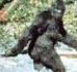 cereallytho's tweet photo. @cleoabram the interview with jensen huang on Spotify plays a video of an American Sasquatch Hunters episode. if Jensen turns out to actually be Sasquatch, his insane life story leading to @nvidia will have finally made sense https://t.co/km91biHxQI