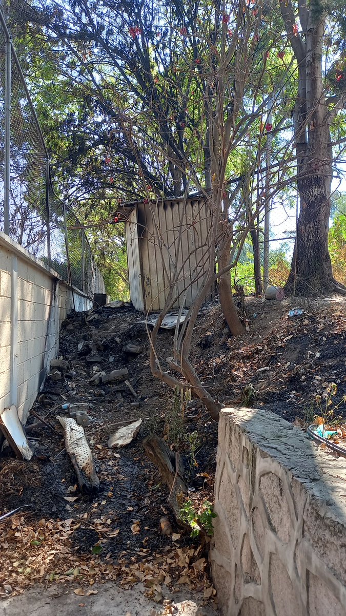 pisokihermoso's tweet photo. @ClaraBrugadaM @yancolozano @TuAlcaldiaGAM @locatel_mx #DenunciaCiudadana buenas tardes!  Se solicita el retiro de este puesto de metal, esta en el paso entre el arbolillo 1  y acueducto de gpe. 
La zona es de  alto  riesgo para los habitantes de las U.H. https://t.co/S7ySKOGYp6