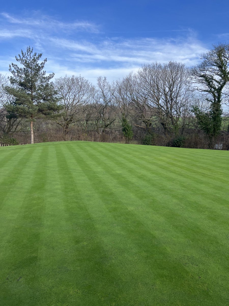 Allan Donlevy tweet media