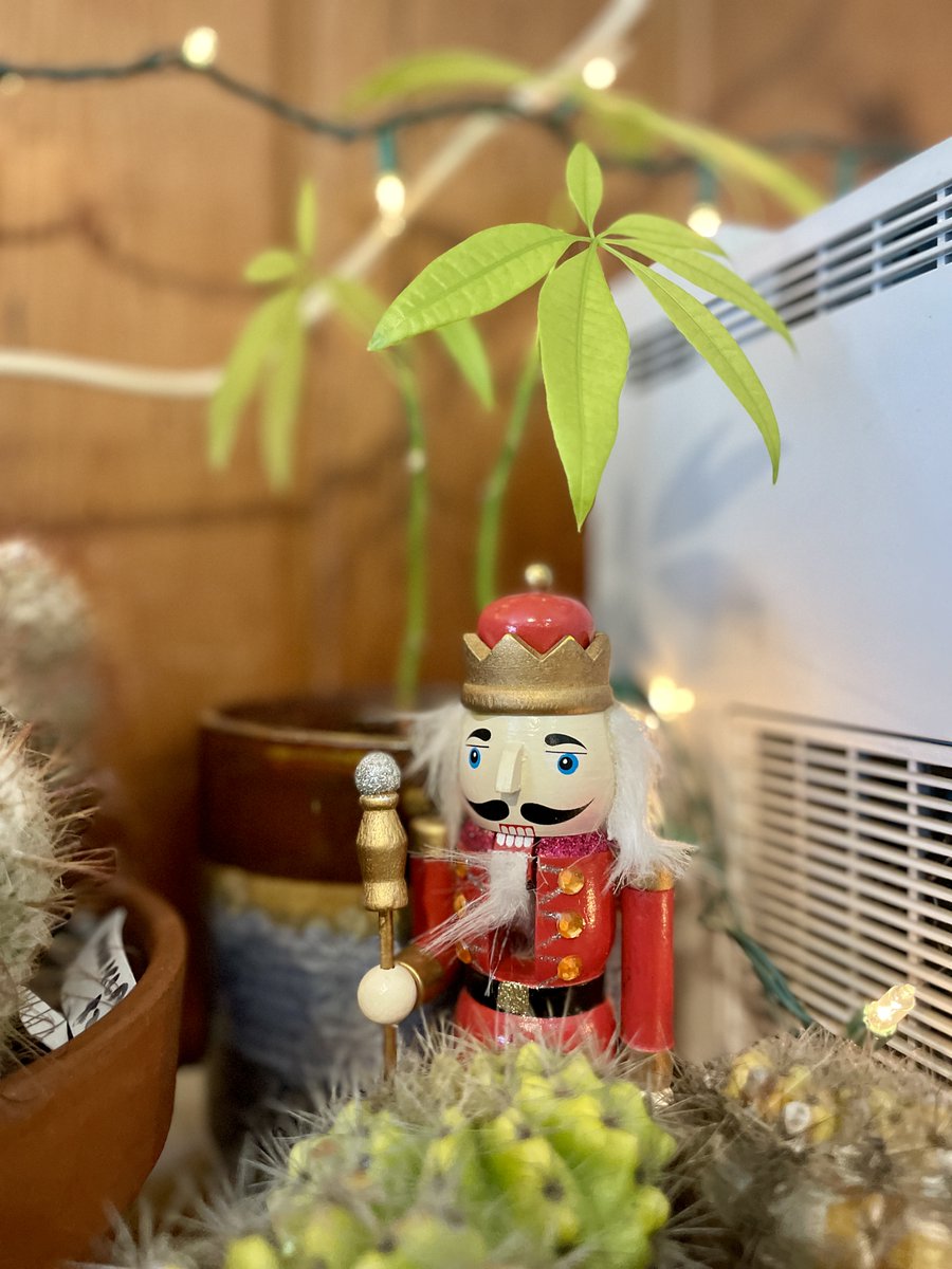 Maxalea_Inc's tweet photo. Santa called and he wants decorating tips from Maxalea HQ! #Maxalea #MaxaleaStyle #DeckTheHalls https://t.co/8neCxoCutk