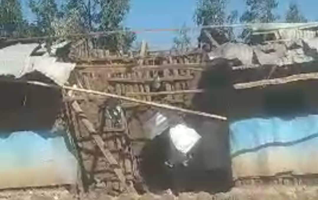 ነብዩ tweet media