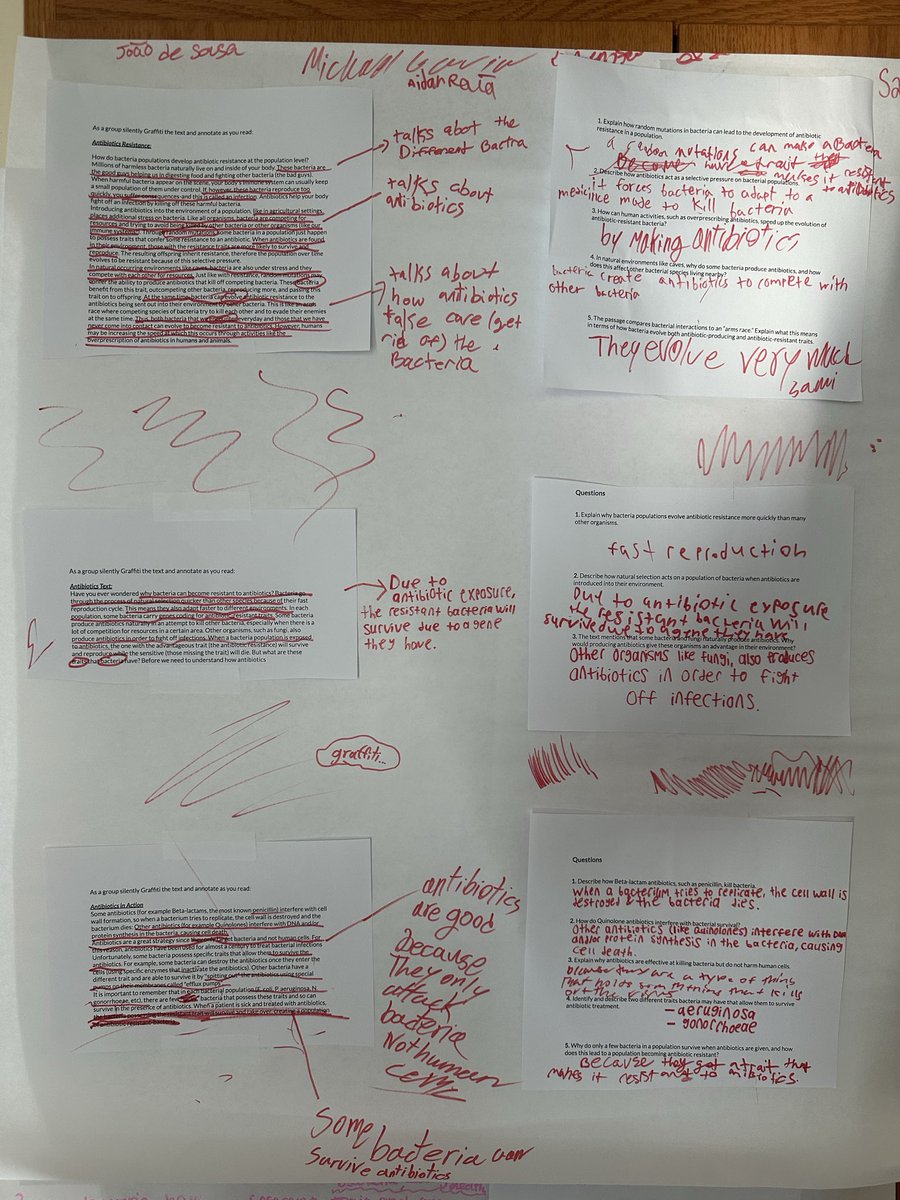 Caitlin Anetrella tweet media