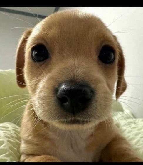 🛸📊 tweet media