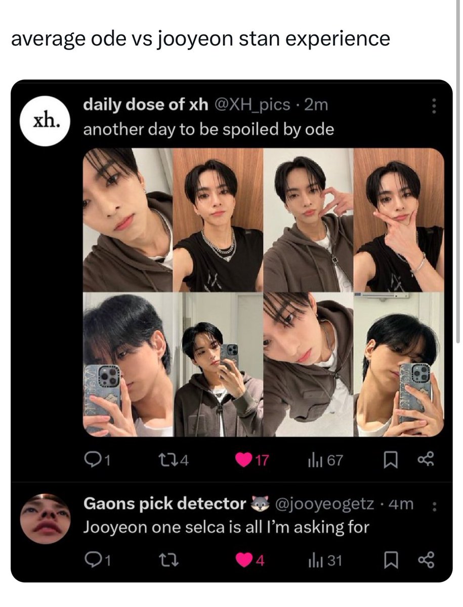 Gaons pick detector 🐺 tweet media