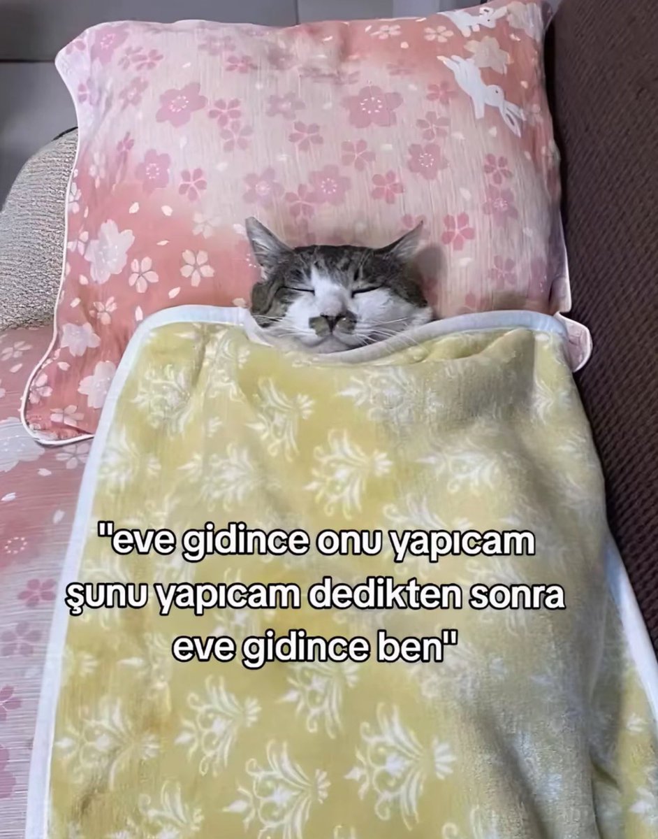 Hayri (@hayrixxx) on Twitter photo 