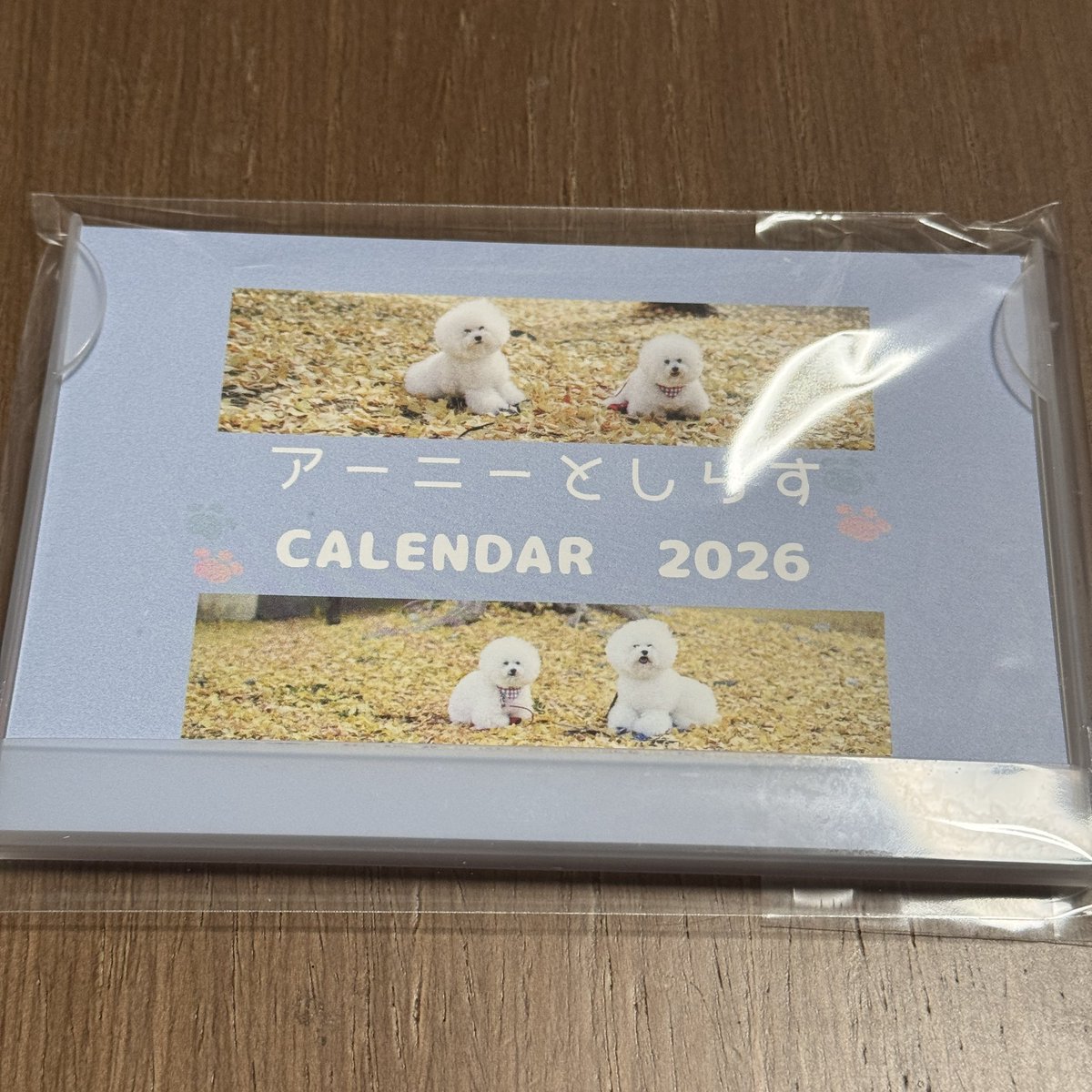 しらす~さん専用 しらすさん (@1113shirasu) / Posts / X