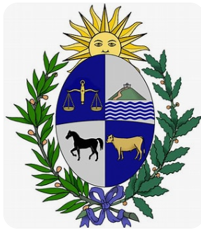 sm 🇺🇾 tweet media