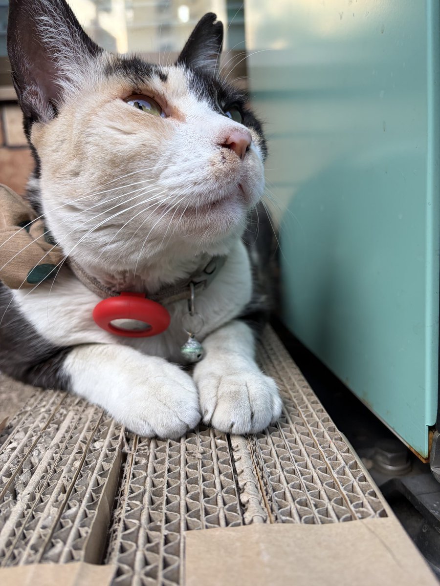 うめきち可愛い♡ @Ajuo71tpps33232