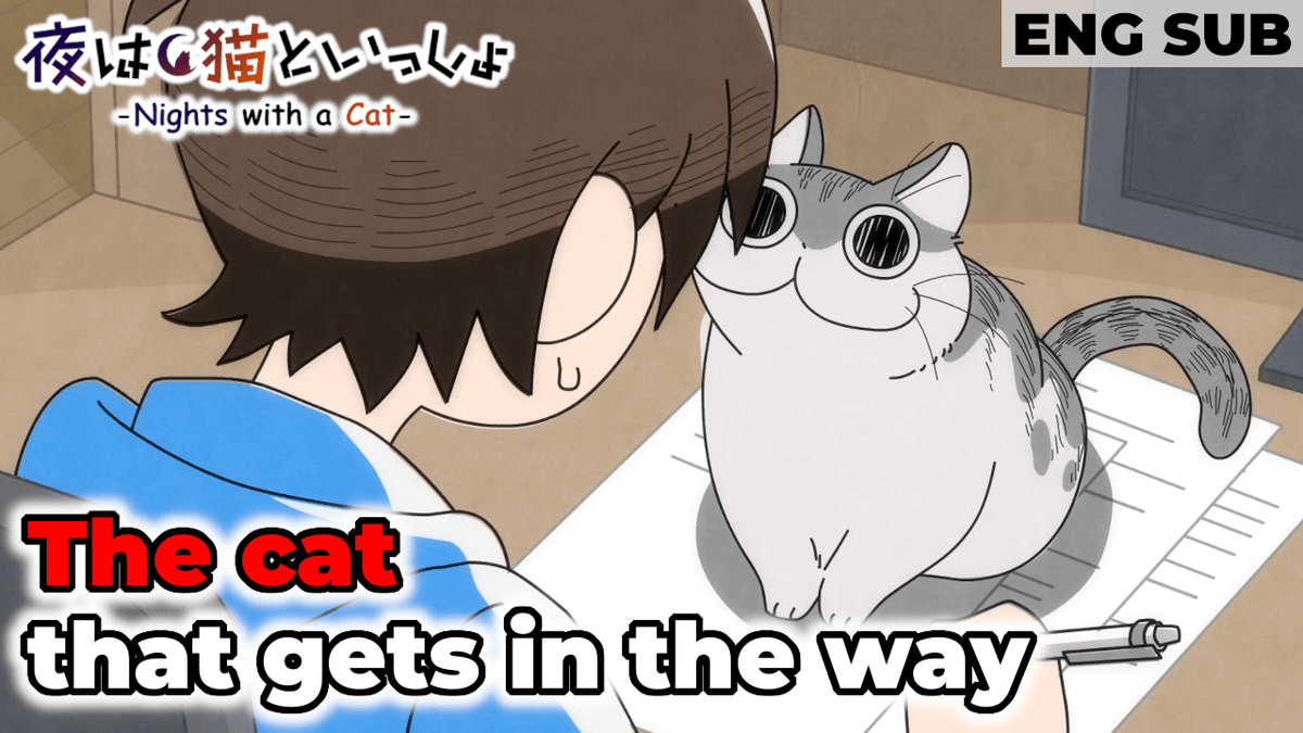 KadoAniClips_en's tweet photo. Kyuruga came over to Fuuta-kun, who was working at his desk.
Climbing onto the desk, settling onto the papers, and entering full Attention Mode.

This Cat Interrupts My Work for Attention🐱
https://t.co/P6ODk9kSkT

#NightsWithACat 
#yoruneko 
#Cat https://t.co/9jKPiPXaYC