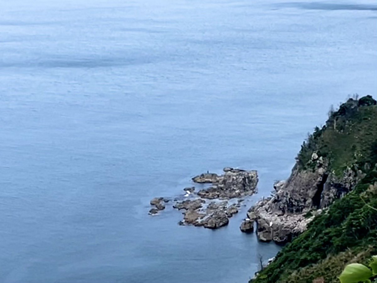 ホテル予約サイト SOMEWHEREさんのウェブマガジンに旅に関する短いテキストを寄稿しました ２こめ