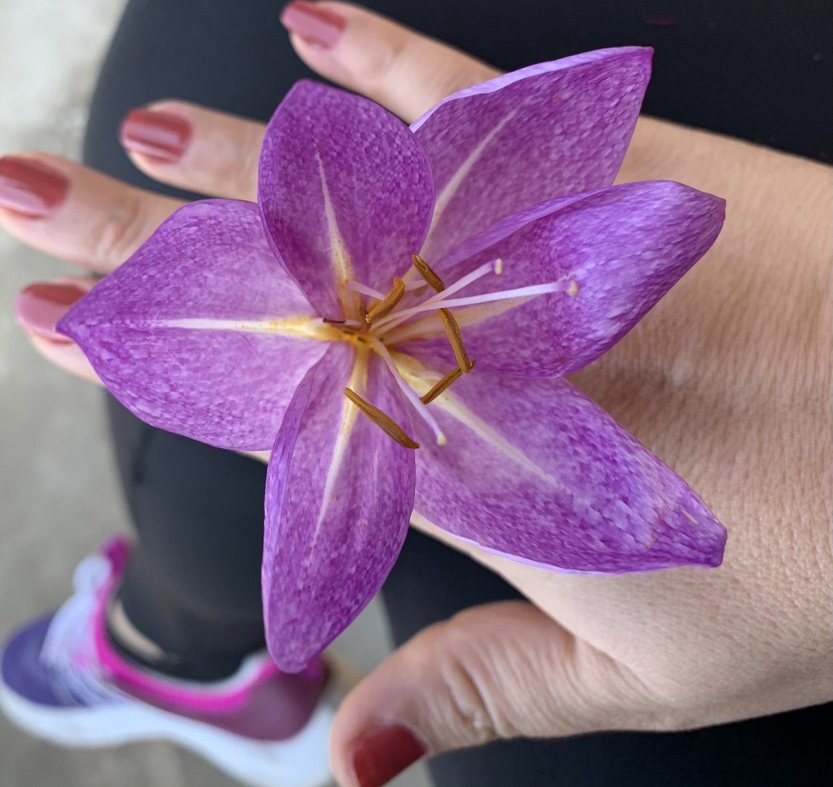 Çenemizi  Tutup Planlarımızı Kimseye Anlatmasak Hayatımız Çiçek 😡