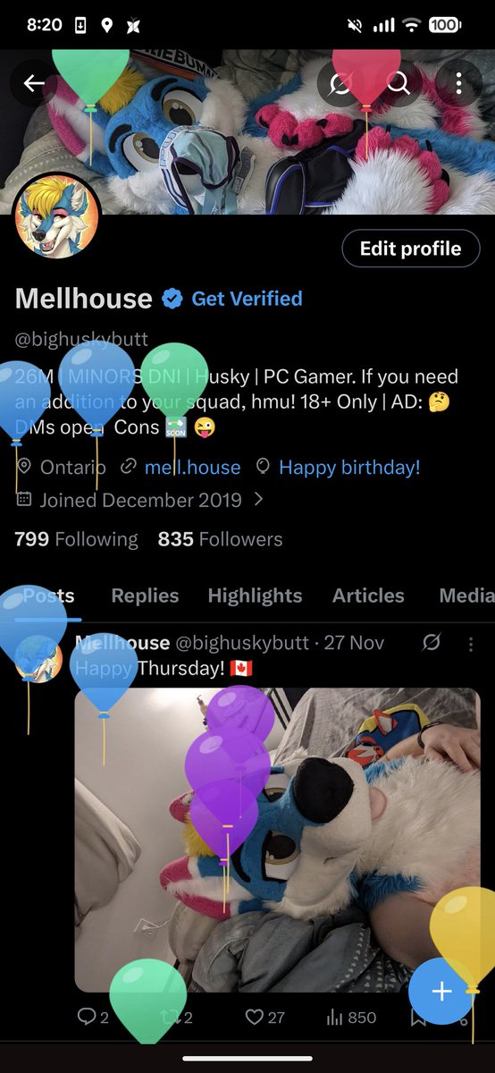 bighuskybutt's tweet image. The balloons be attacking me again D: