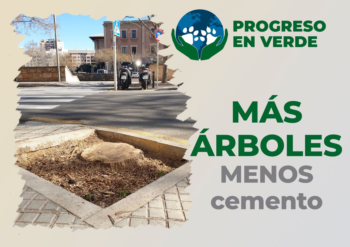 El <a href="/ajuntpalma/">Ajuntament de Palma</a> está acabando con todos los arboles de la ciudad. ¡¡Basta ya!!