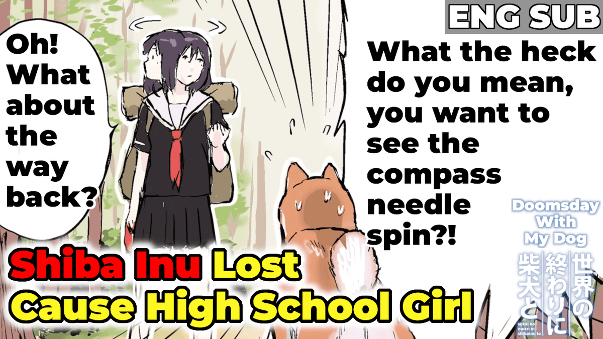 KadoAniClips_en's tweet photo. What is the reaction of Haru, the Shiba Inu, after getting lost due to the high school girl Master's zero sense of direction?!

A Shiba Inu gets lost after being led astray by a high school girl🐶
https://t.co/7GKve4oJrz

#DoomsdayWithMyDog
#ShibaInu
#Dog https://t.co/A4FNzuY3Ik