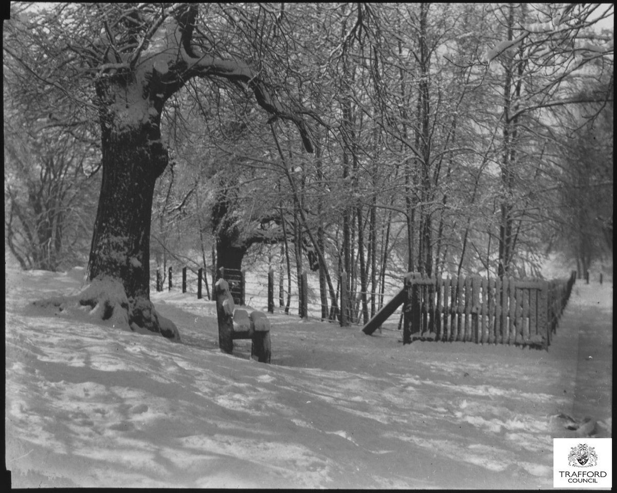 𝟐𝟎𝟐𝟓 𝑨𝒓𝒄𝒉𝒊𝒗𝒆 𝑨𝒅𝒗𝒆𝒏𝒕 𝑪𝒂𝒍𝒆𝒏𝒅𝒂𝒓
𝐃𝐚𝐲 20
Snow scene in Dunham Park. Trafford Local Studies collection, cat. ref. LHC-1213-2-18_003
Follow along and share your memories 
#dunham #ldunhampark #christmas #adventcalendar #advent #archives #winter