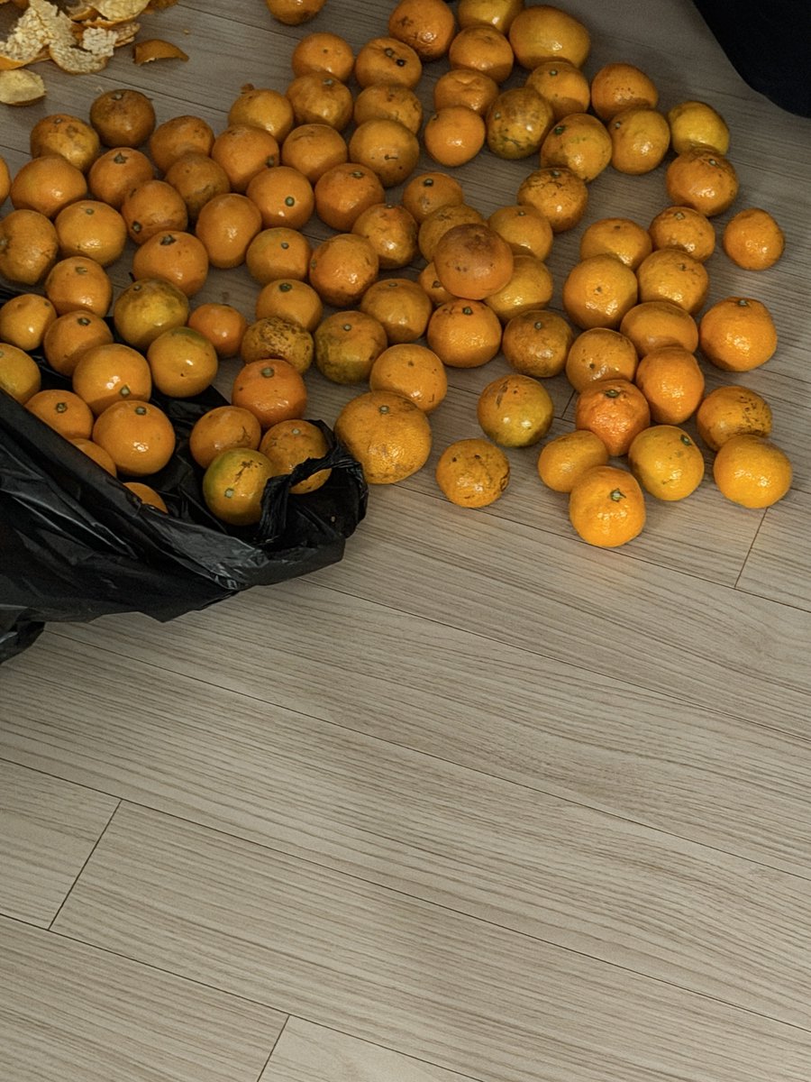 오늘 엄마가 귤먹으라고 불러서 나갔더니
이런 광경이 펼쳐져있었어요