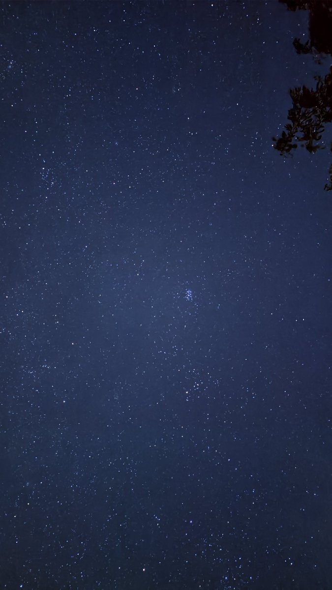 Energy Tulum tweet media