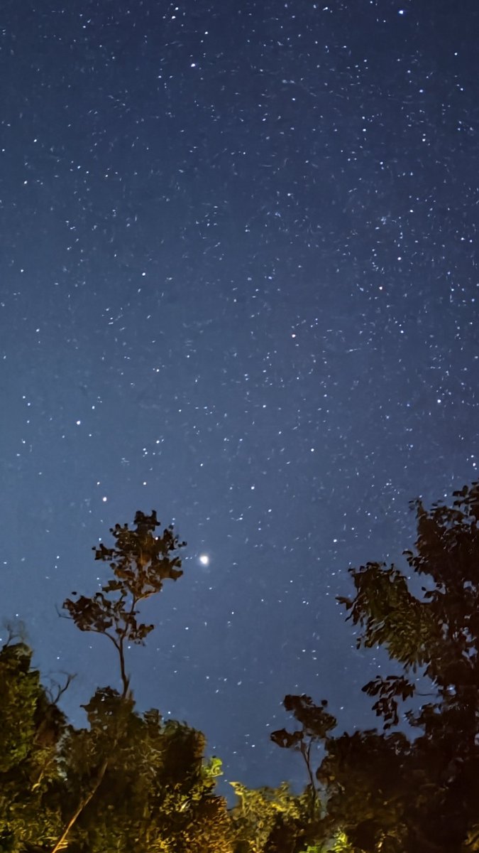 Energy Tulum tweet media