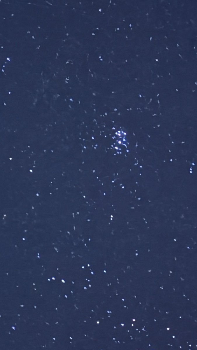 Energy Tulum tweet media