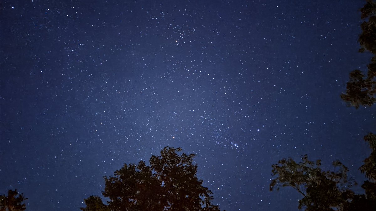 Energy Tulum tweet media