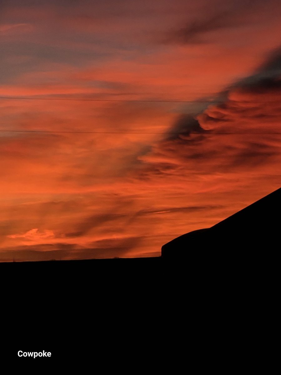 Cowpoke returns tweet media