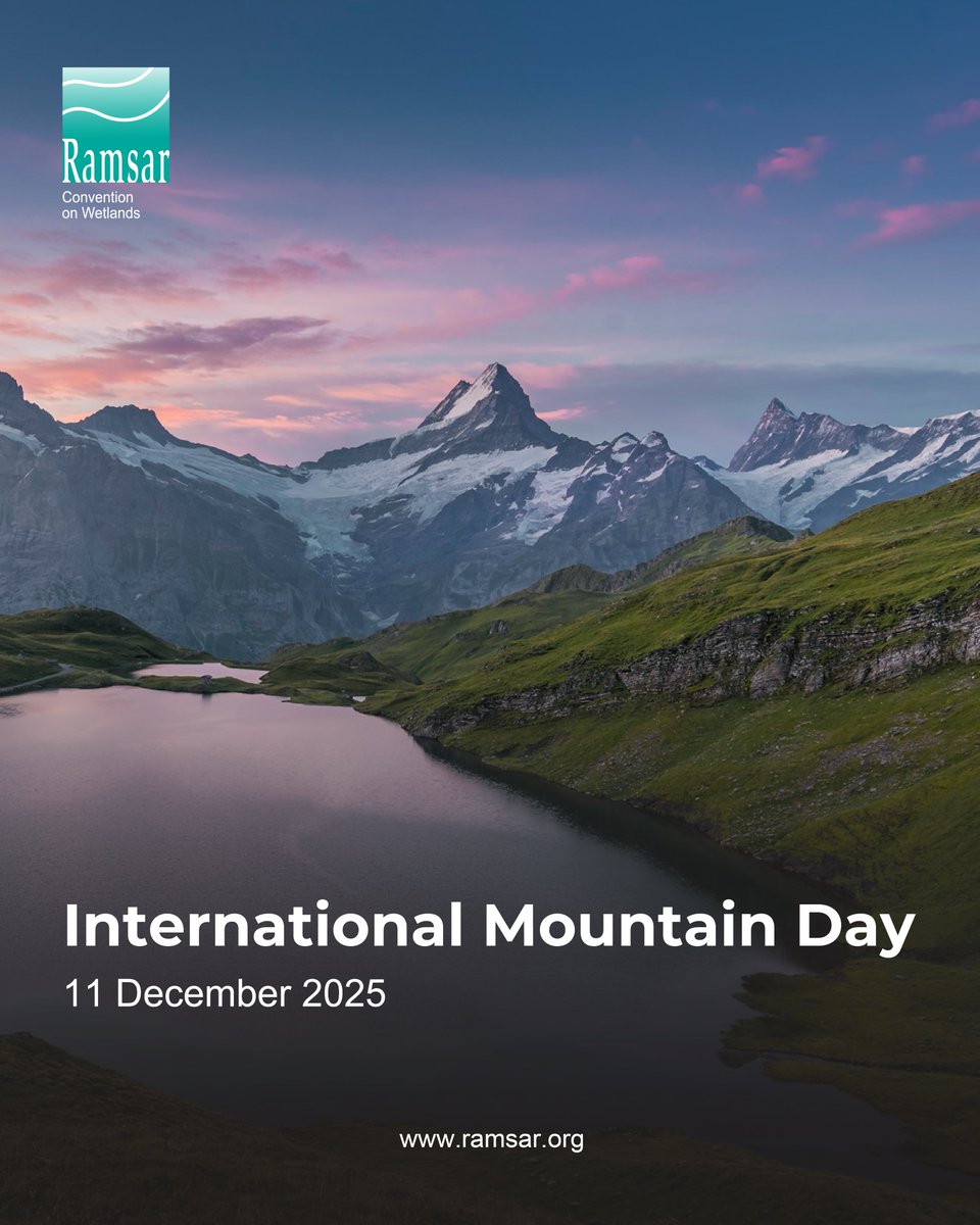 🌄 Mountain and high-altitude wetlands encompass diverse ecosystems, lakes, rivers, streams, marshes, peatlands, karst systems, and the meltwater channels that flow from glaciers and snowfields.

💧 These wetlands are vital natural reservoirs, capturing and storing rainwater,