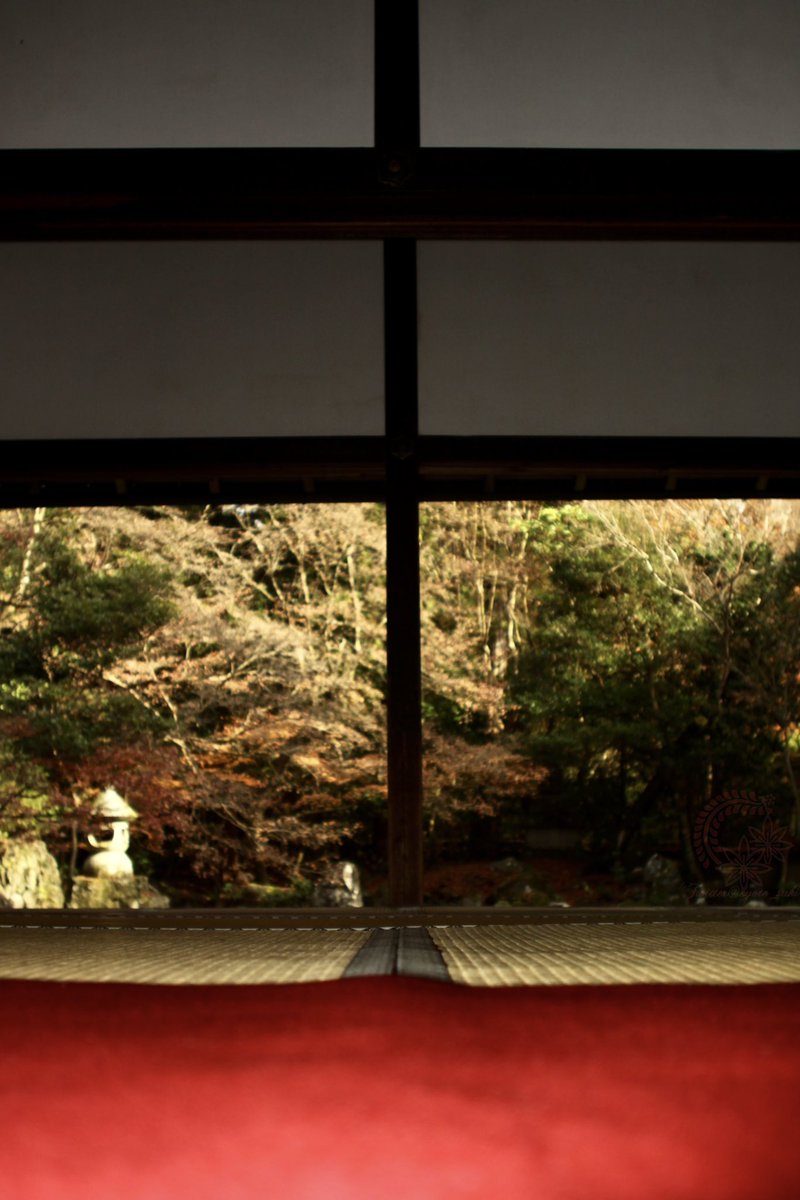 kyoto_suki's tweet photo. お遊びf^_^;)
本日の車窓から。緋毛氈は好物なんです🤗
帰命山 #蓮華寺
CANON #EOS50D + NIPPON Kogaku #NIKKOR-N Auto 24mm F2.8 #daylightsynchroflash https://t.co/Gahf5go0fS